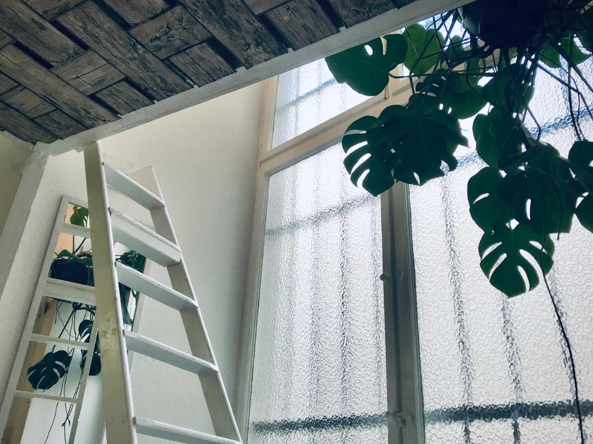 Boutique Hostel Lekkerurlaub برلين المظهر الخارجي الصورة